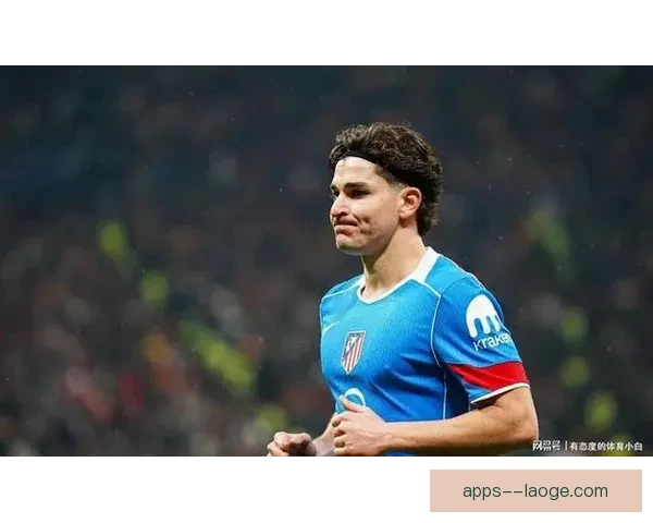 阿尔瓦雷斯在世界杯预选赛中进攻端价值与效率的深度解析研究